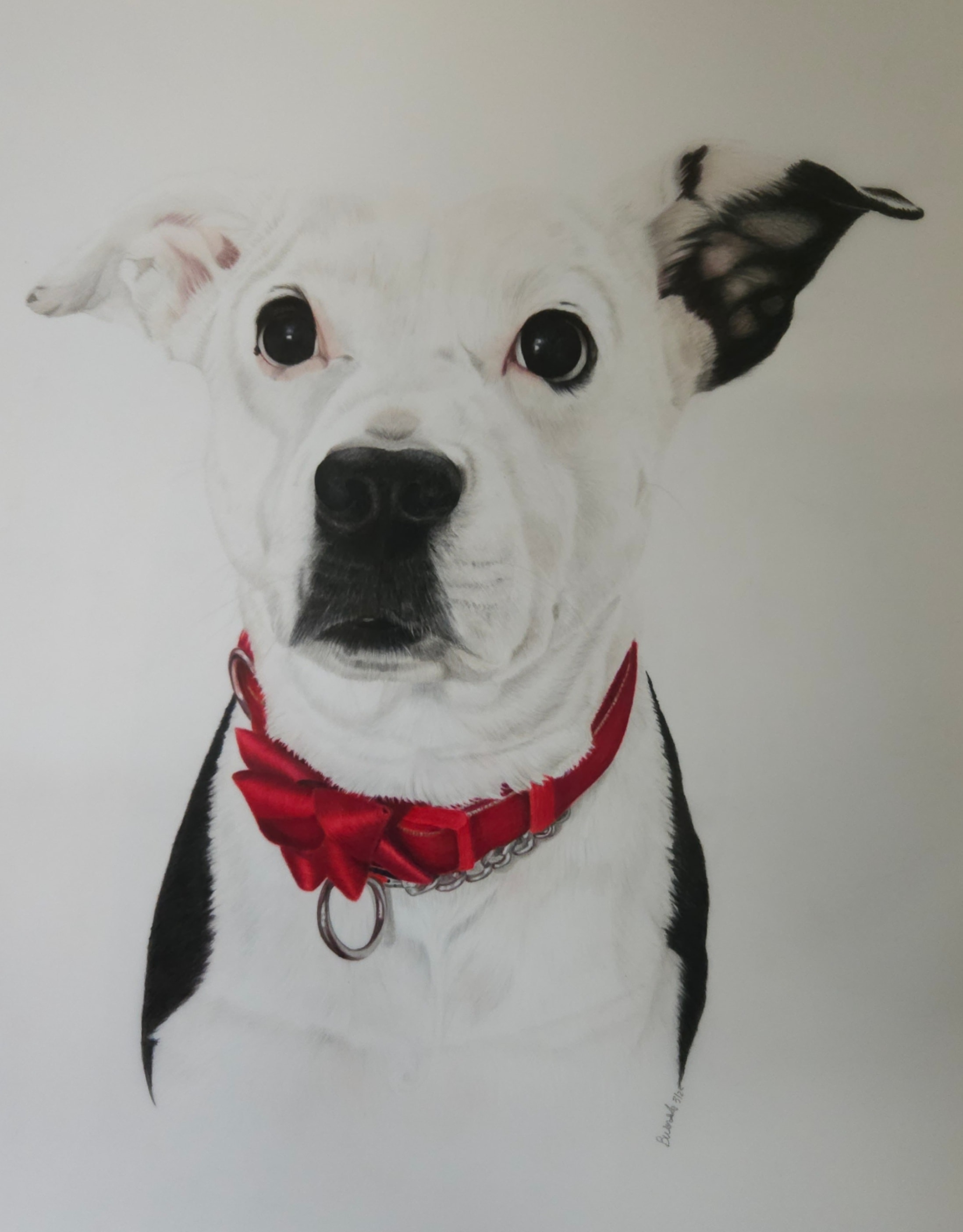 Rosie — Dog, Colored Pencil by Bev Worth