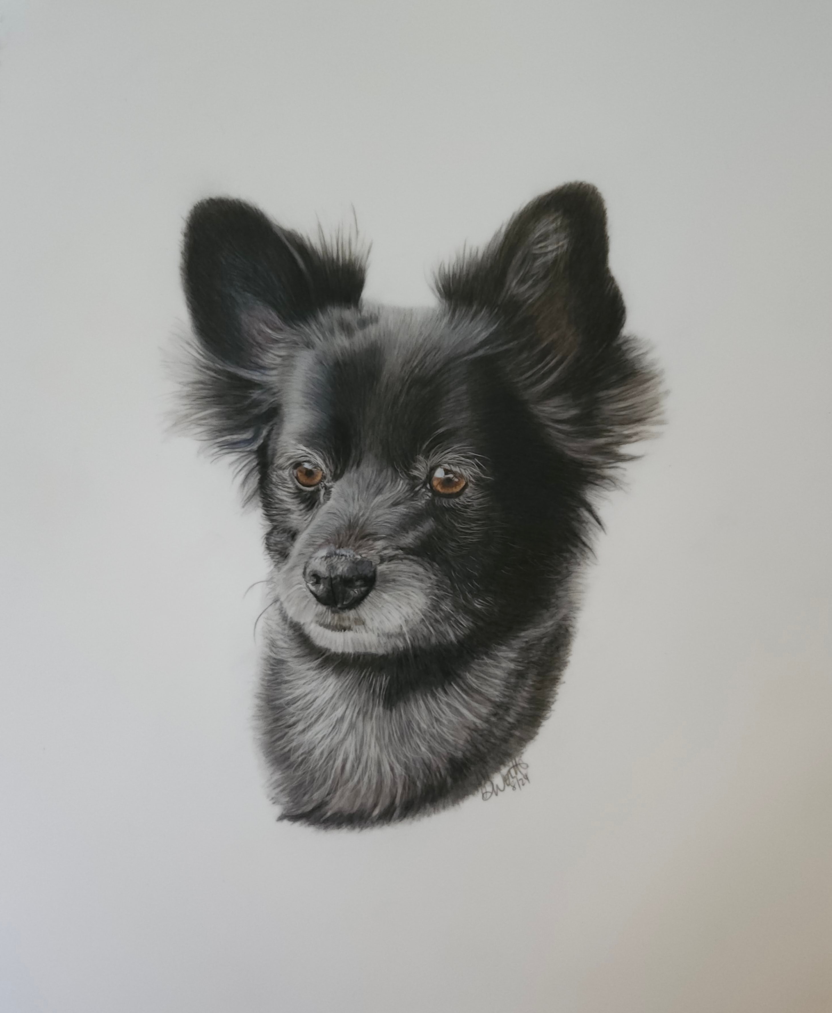 Aspen — Dog,  by Bev Worth
