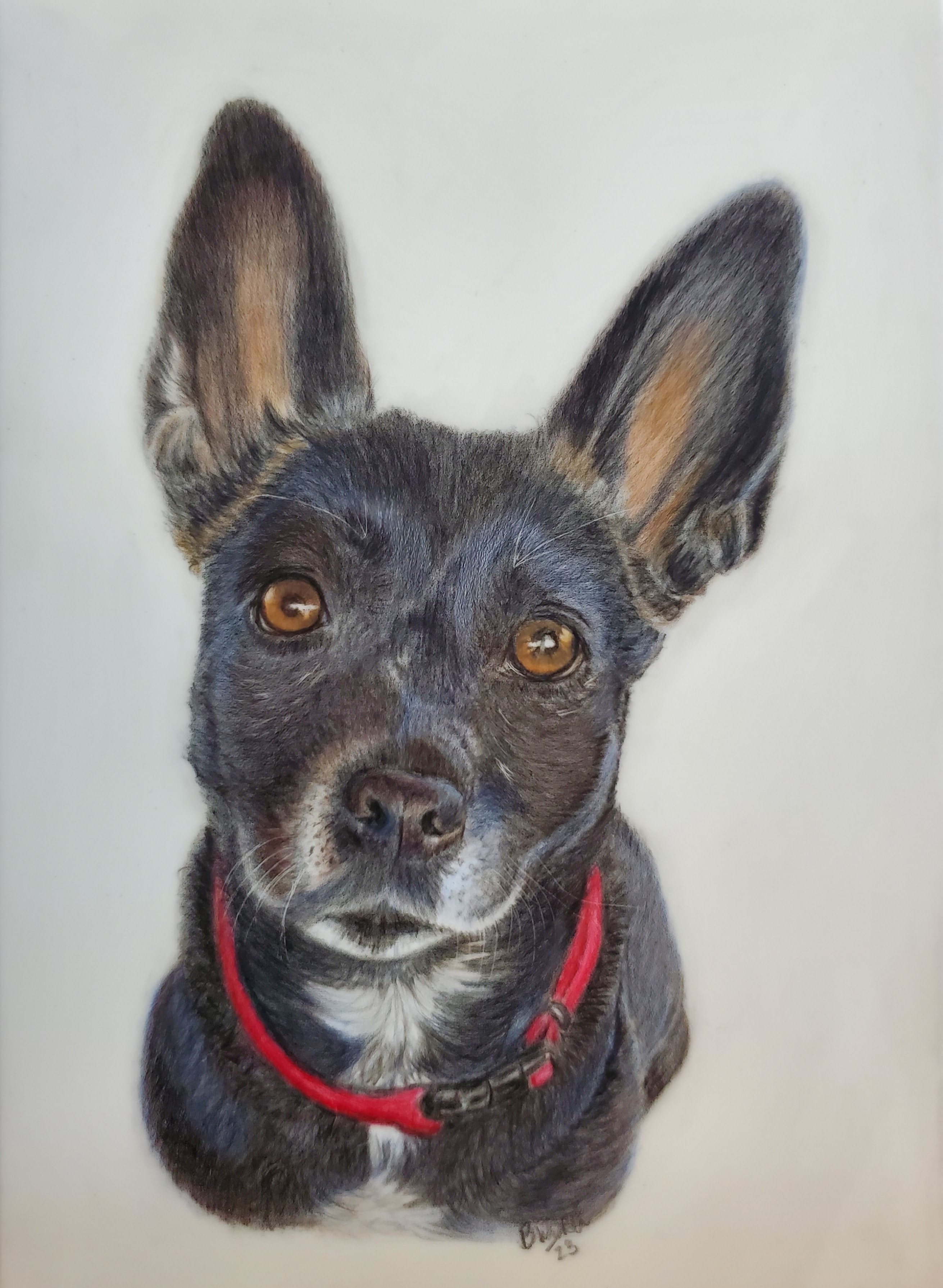 Dog — Dog,  by Bev Worth