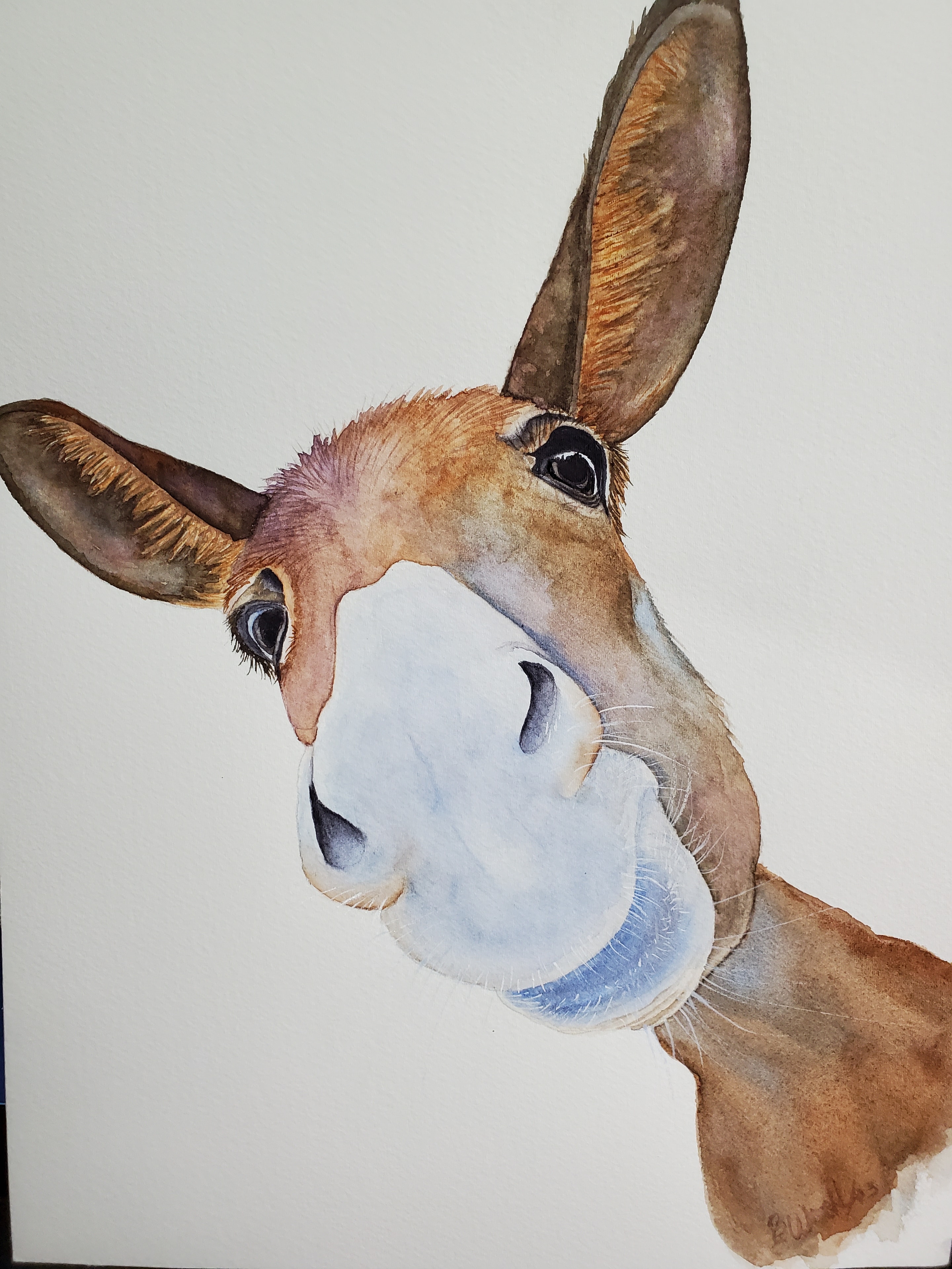 Donkey — Donkey,  by Bev Worth