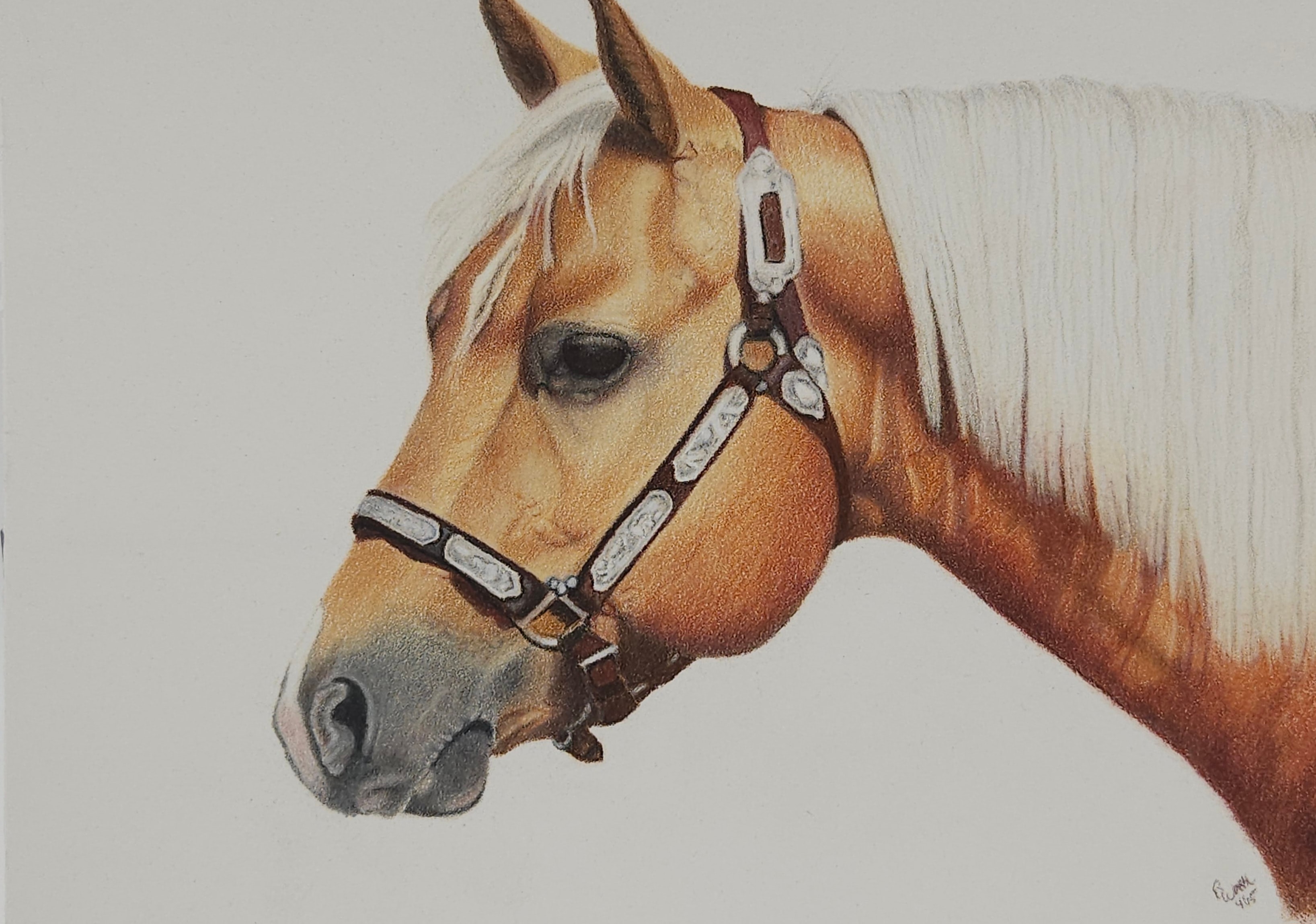 Goldy — Horse, Colored Pencil by Bev Worth