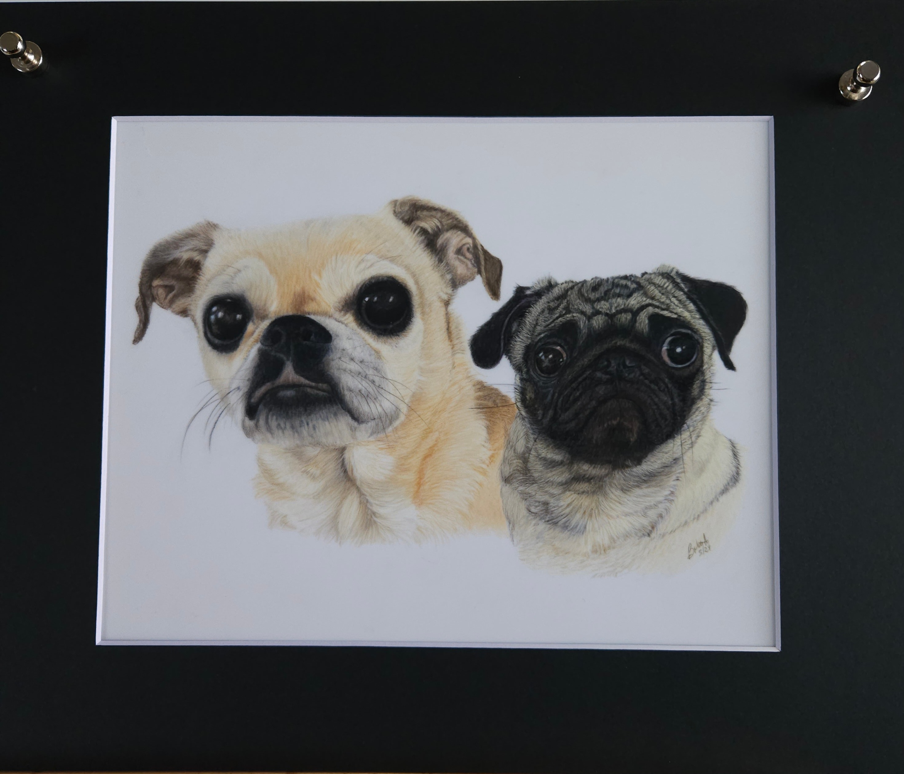 Lizzy and Maggie — Dogs, Colored Pencil by Bev Worth